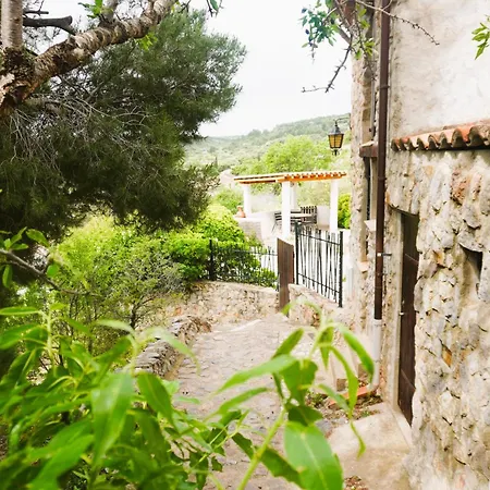Les Volets Verts A Cote Du Chateau Pour 8 Avec Jardin * Fitou