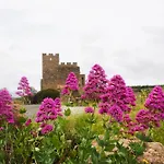 Les Volets Verts à Côté Du Château Pour 8 Avec Jardin Hébergement de vacances Fitou