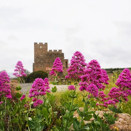 Les Volets Verts A Cote Du Chateau Pour 8 Avec Jardin 別荘 Fitou