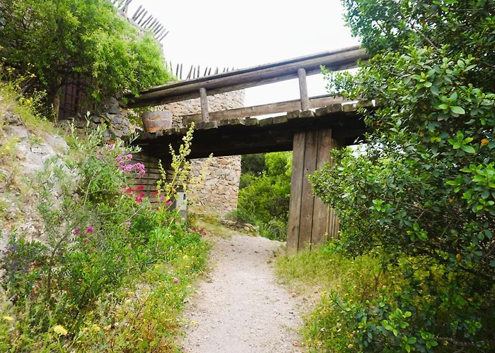 Les Volets Verts A Cote Du Chateau Pour 8 Avec Jardin 別荘 *