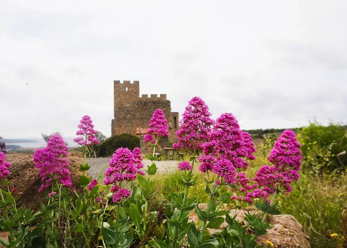 Les Volets Verts A Cote Du Chateau Pour 8 Avec Jardin 別荘 Fitou